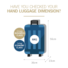 Lufthansa Economy Baggage Limit